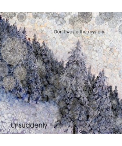 Unsuddenly DON'T WASTE THE MYSTERY CD $8.20 CD